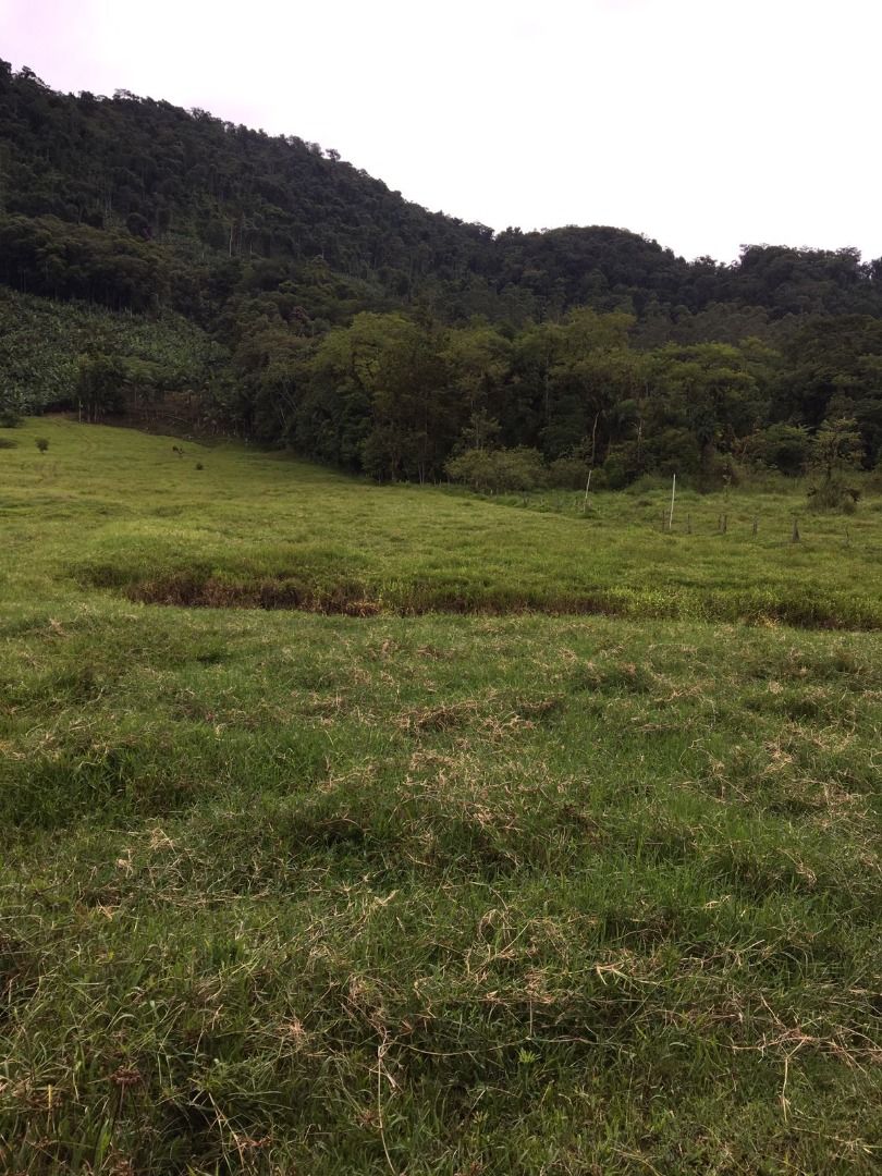  - Chácara com 2 dormitórios à venda, 36630 m² por R$ 980.000,00 - Garibaldi - Jaraguá do Sul/SC
