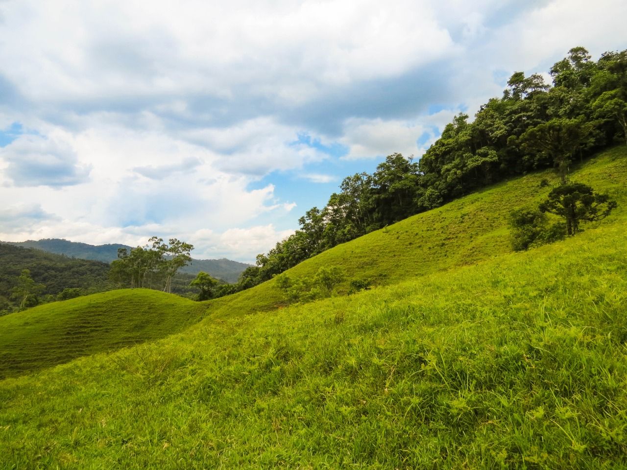  - Chácara à venda, 20000 m² por R$ 650.000,00 - Garibaldi - Jaraguá do Sul/SC