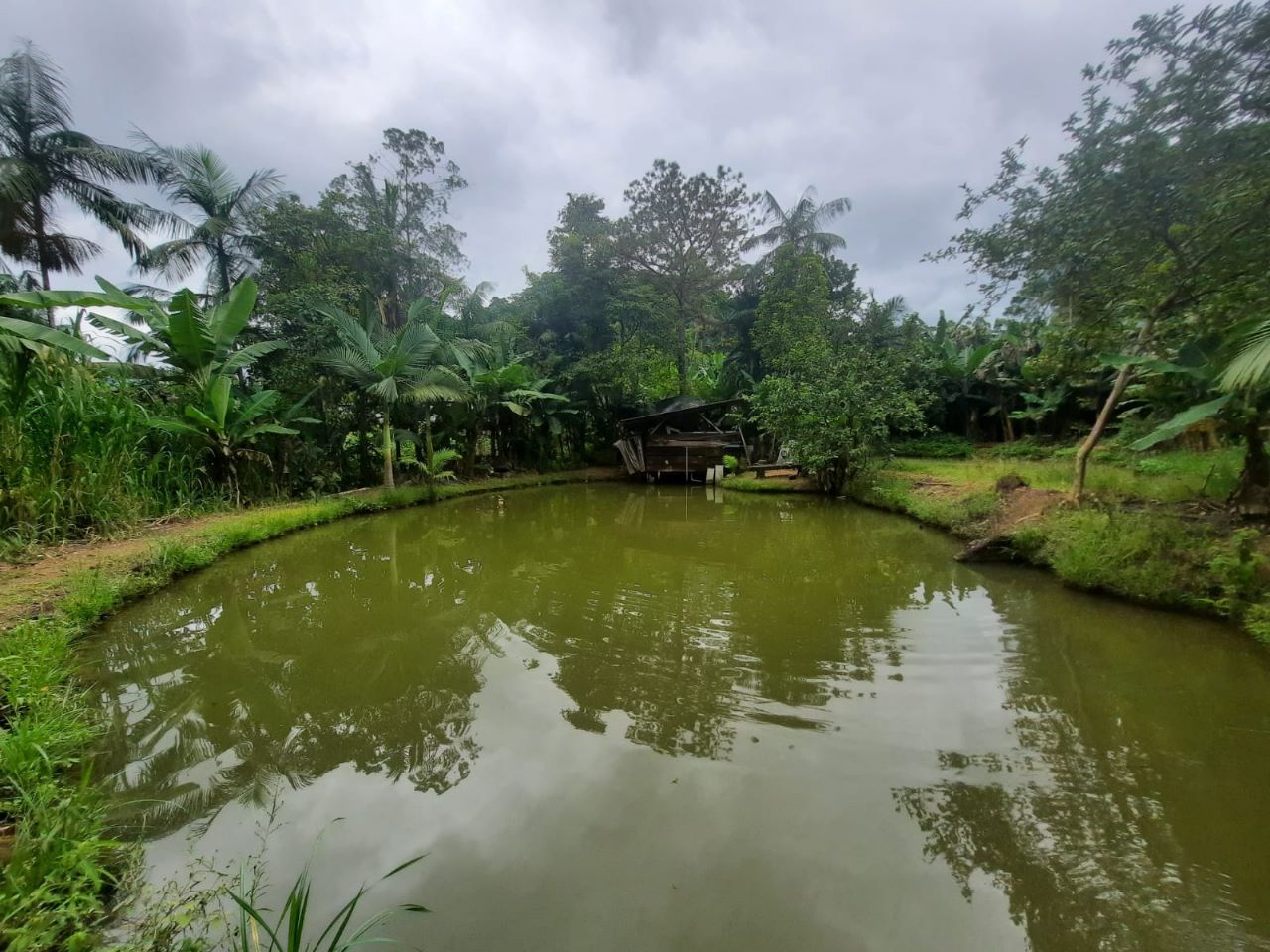  - Terreno à venda, 2500 m² por R$ 550.000,00 - Rio da Luz - Jaraguá do Sul/SC