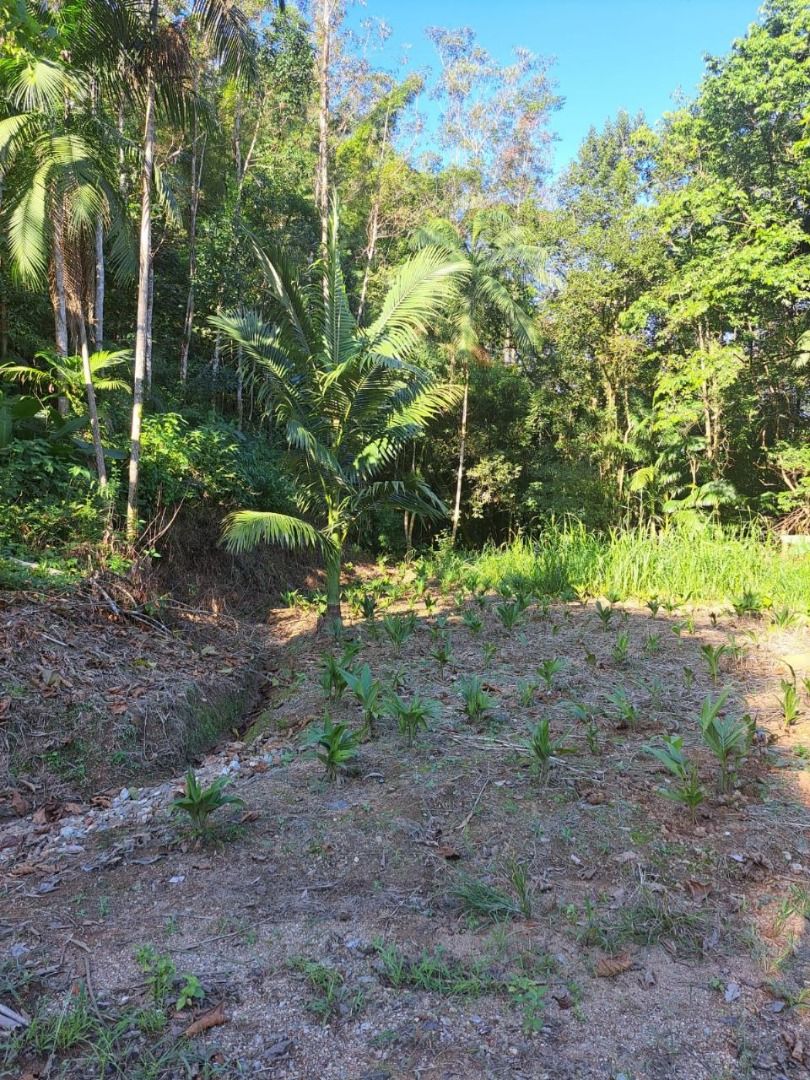 Chácara à venda com 2 quartos, 60.00m² - Garibaldi,Jaraguá do Sul