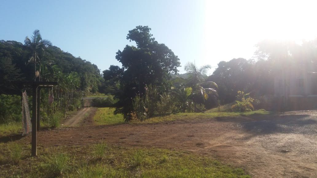  - Chácara com 2 dormitórios à venda, 20000 m²  - Centro - Guaramirim/SC