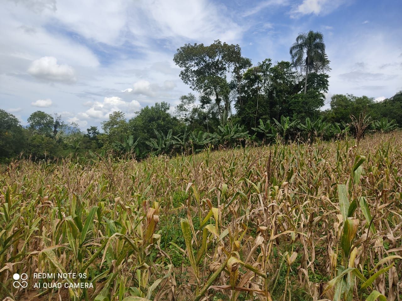 Terreno à venda - Santa Luzia,Jaraguá do Sul