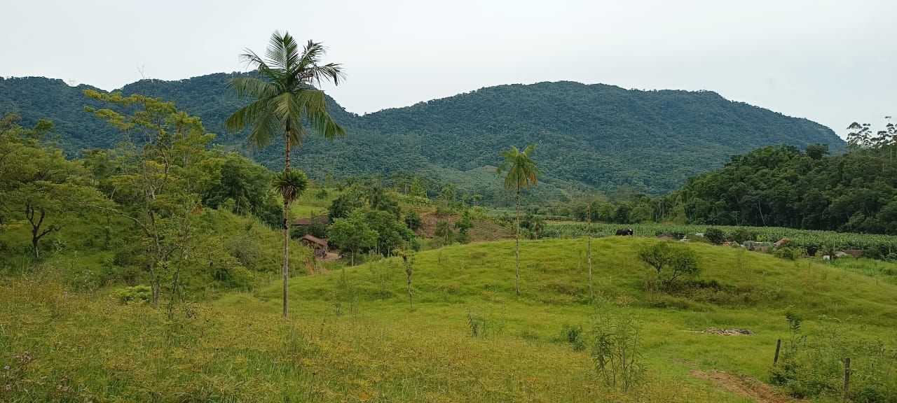 Chácara à venda com 4 quartos, 150.00m² - Jaraguá 84,Jaraguá do Sul