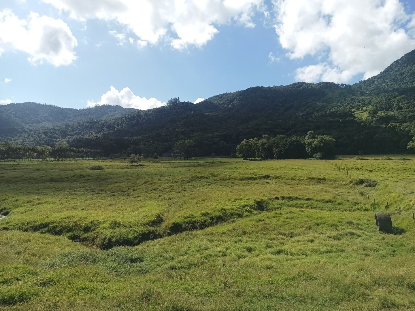  - Chácara com 3 dormitórios à venda, 43972 m² por R$ 950.000,00 - Rio da Luz - Jaraguá do Sul/SC