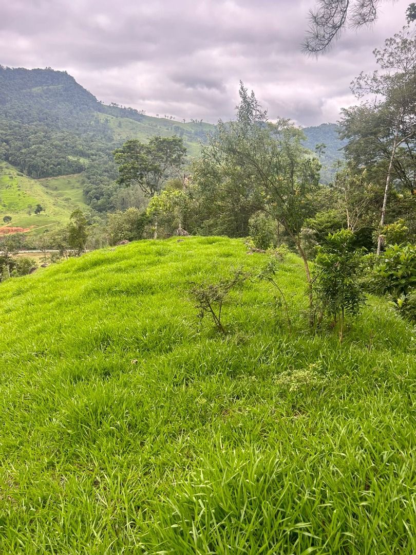  - Chácara com 1 dormitório à venda, 46000 m² por R$ 350.000,00 - Jaraguá 84 - Jaraguá do Sul/SC