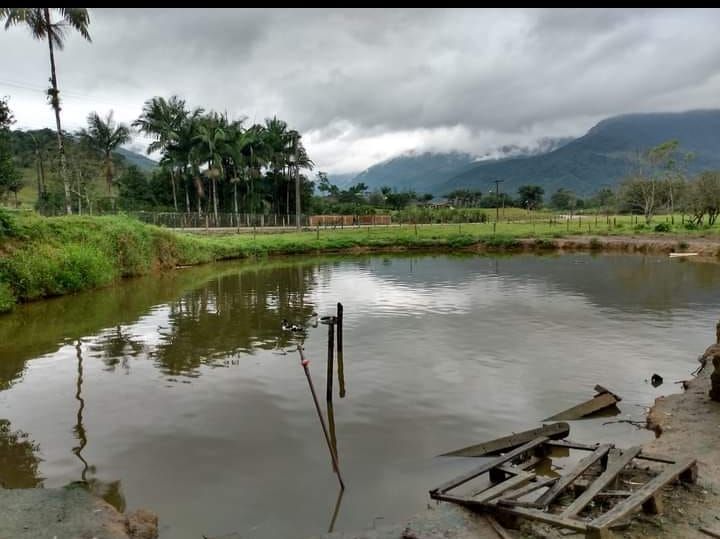 Chácara à venda com 3 quartos - Garibaldi,Jaraguá do Sul