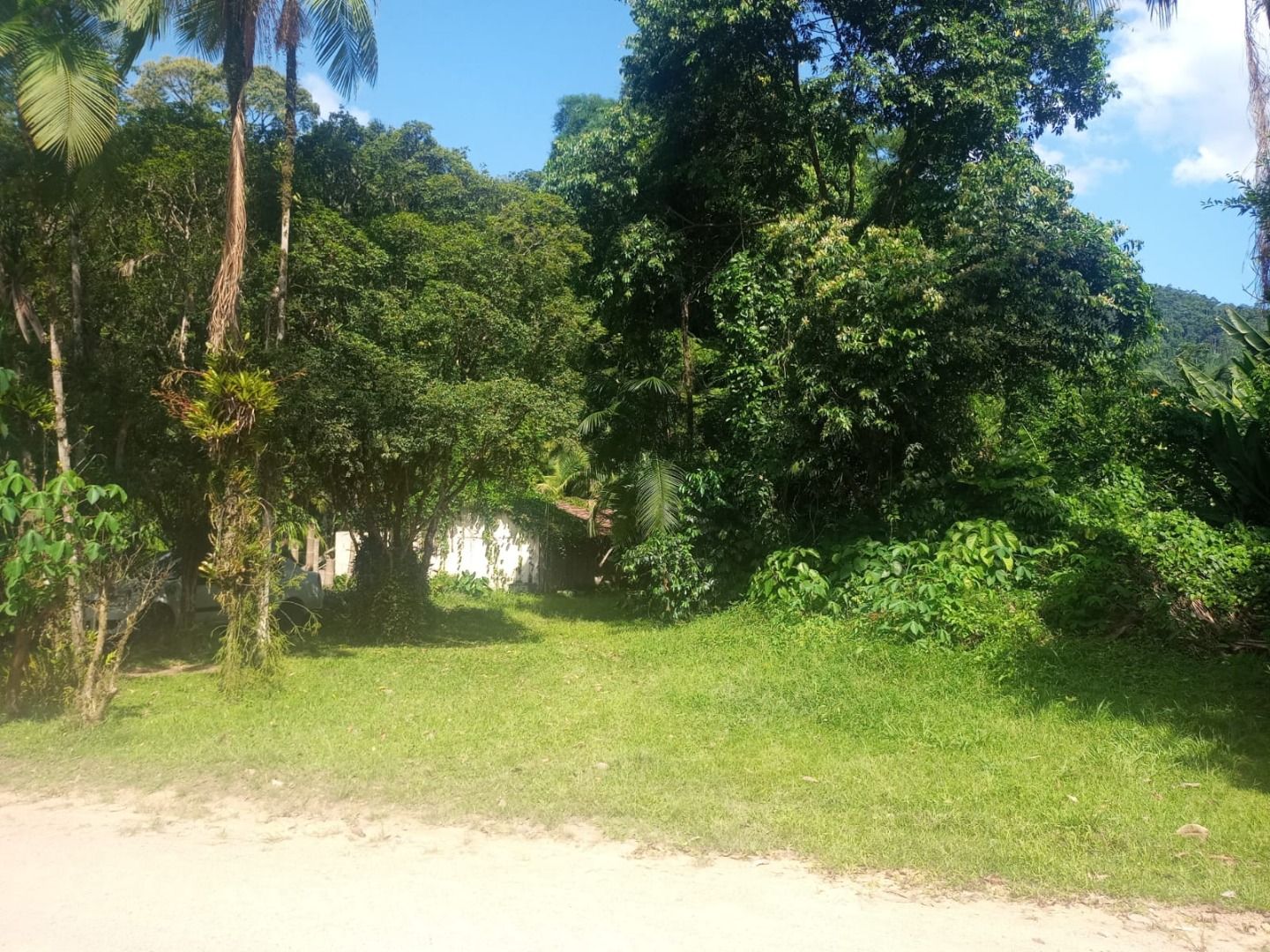 Chácara à venda - Rio da Luz,Jaraguá do Sul