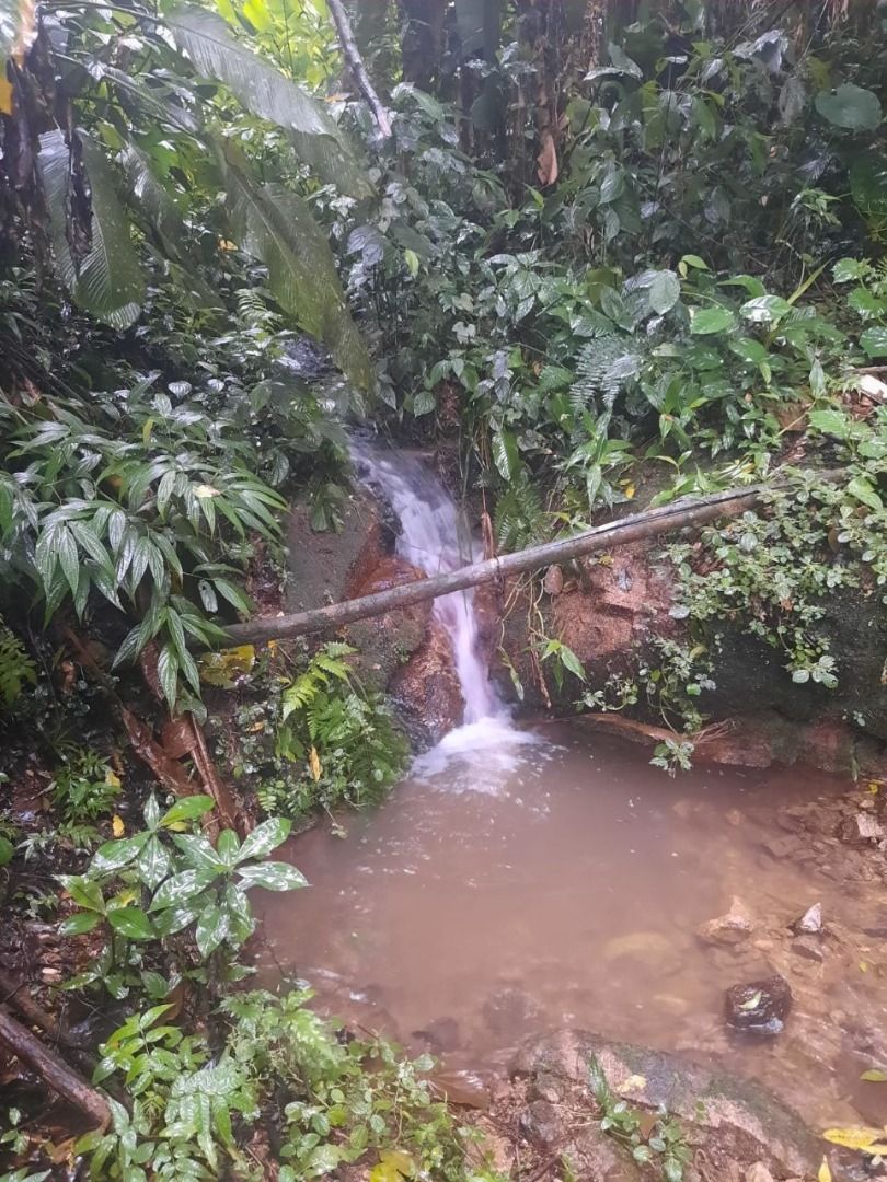 Sítio à venda com 3 quartos, 80.00m² - Rio da Luz,Jaraguá do Sul