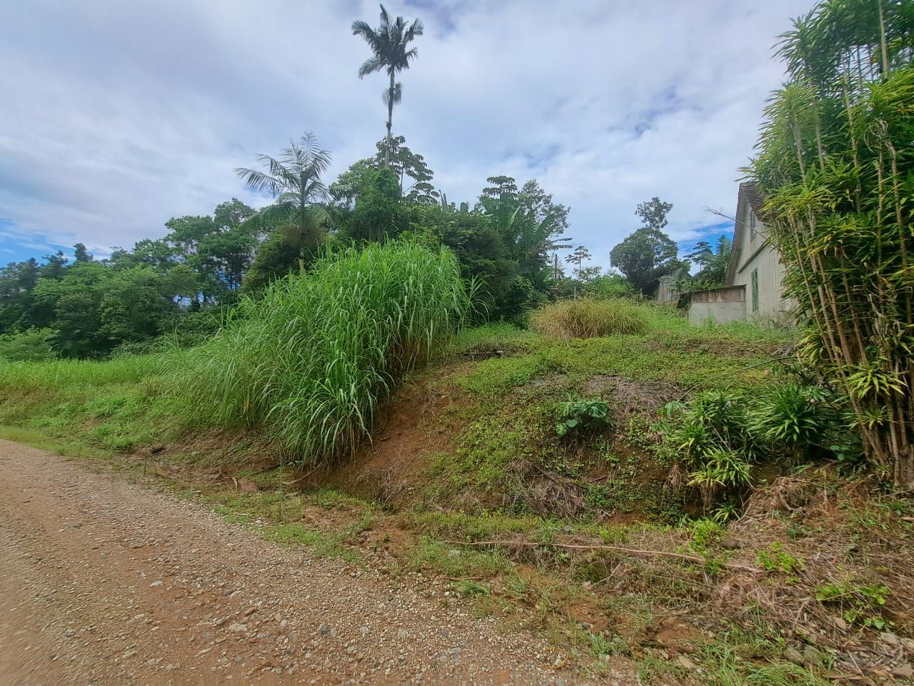  - Chácara com 3 dormitórios à venda, 302367 m² por R$ 1.450.000,00 - Rio da Luz - Jaraguá do Sul/SC