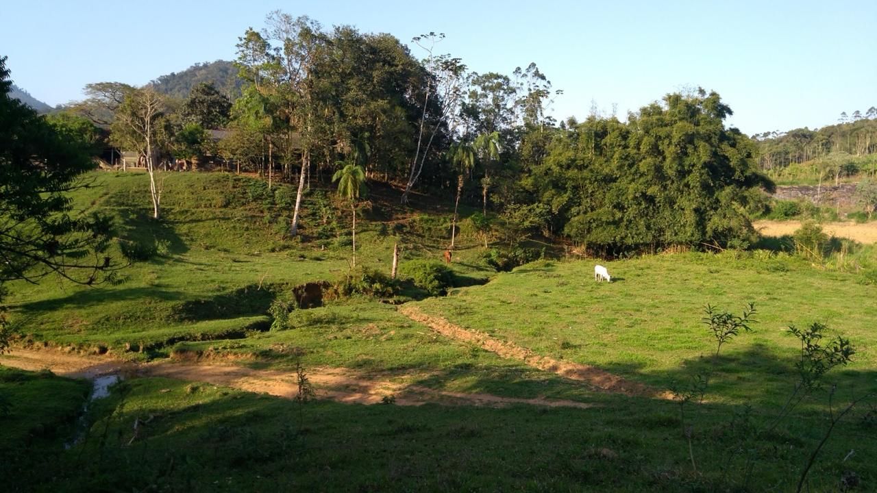  - Chácara a venda no bairro Garibaldi