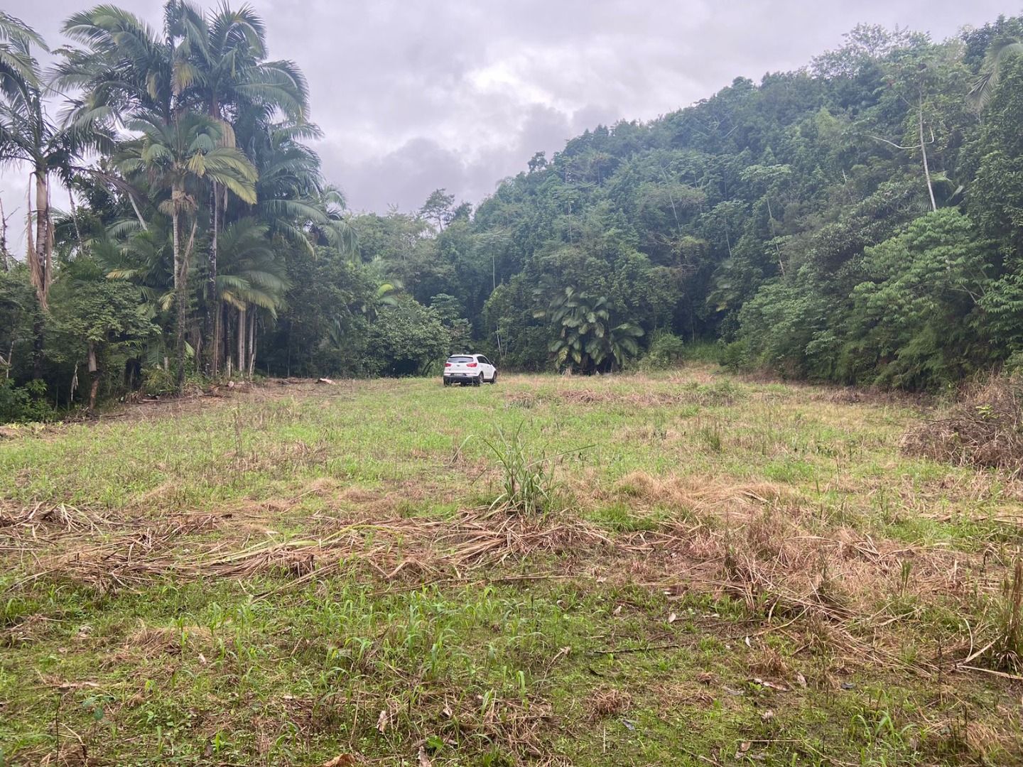 Terreno à venda - Rio Cerro I,Jaraguá do Sul