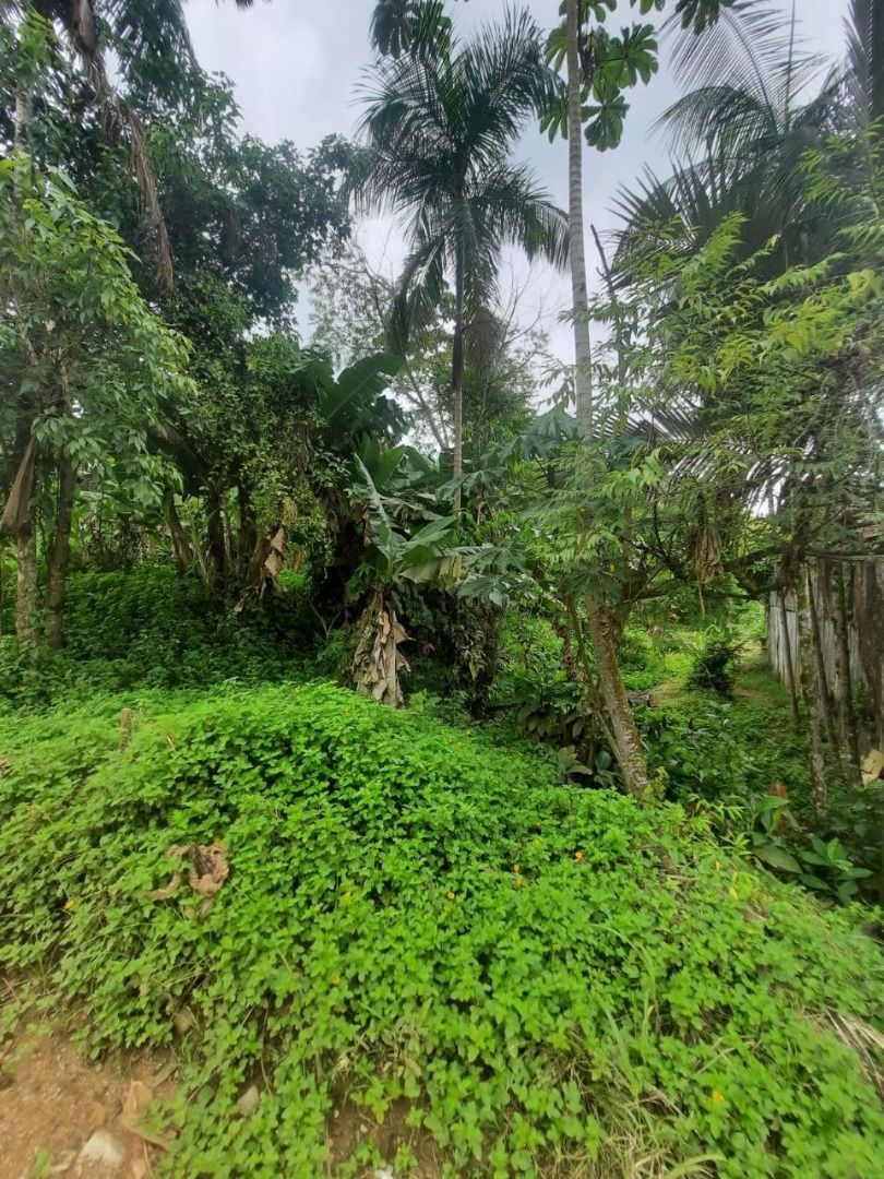 Terreno à venda - Rio da Luz,Jaraguá do Sul