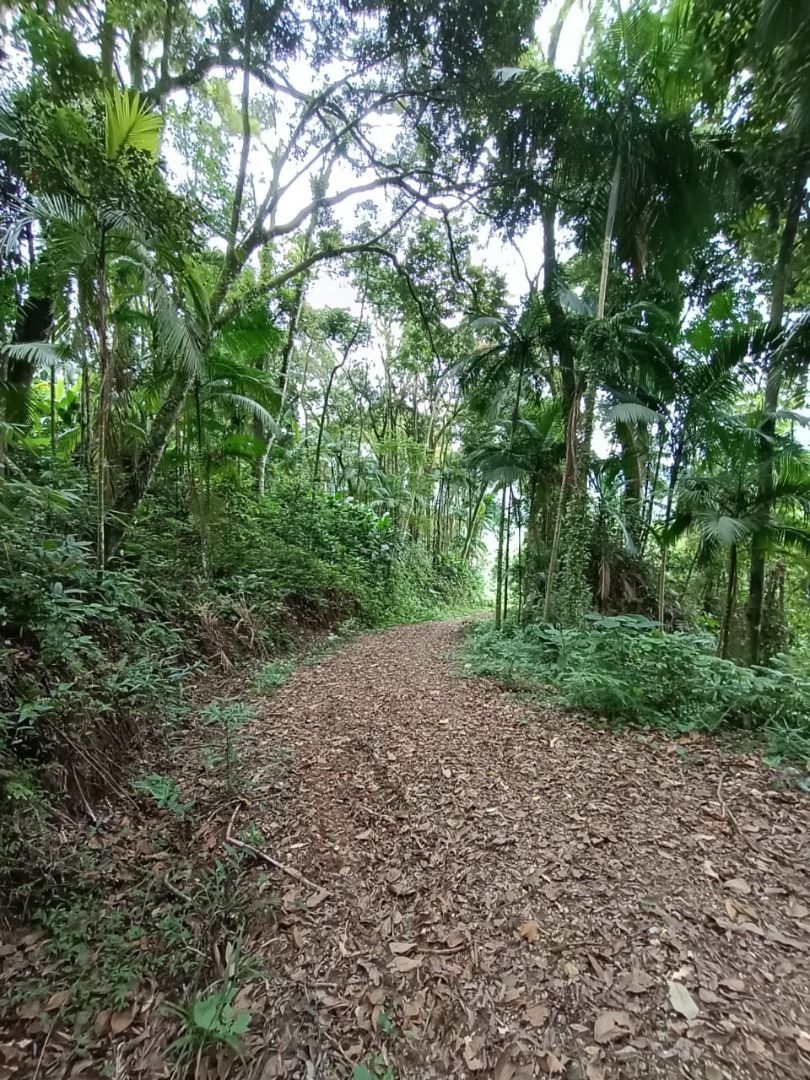 Chácara à venda - Rio da Luz,Jaraguá do Sul