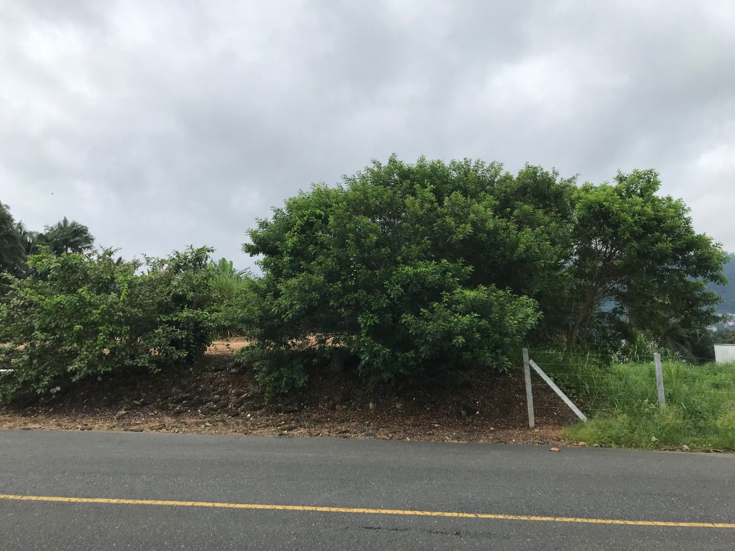 Terreno à venda - Jaraguá Esquerdo,Jaraguá do Sul