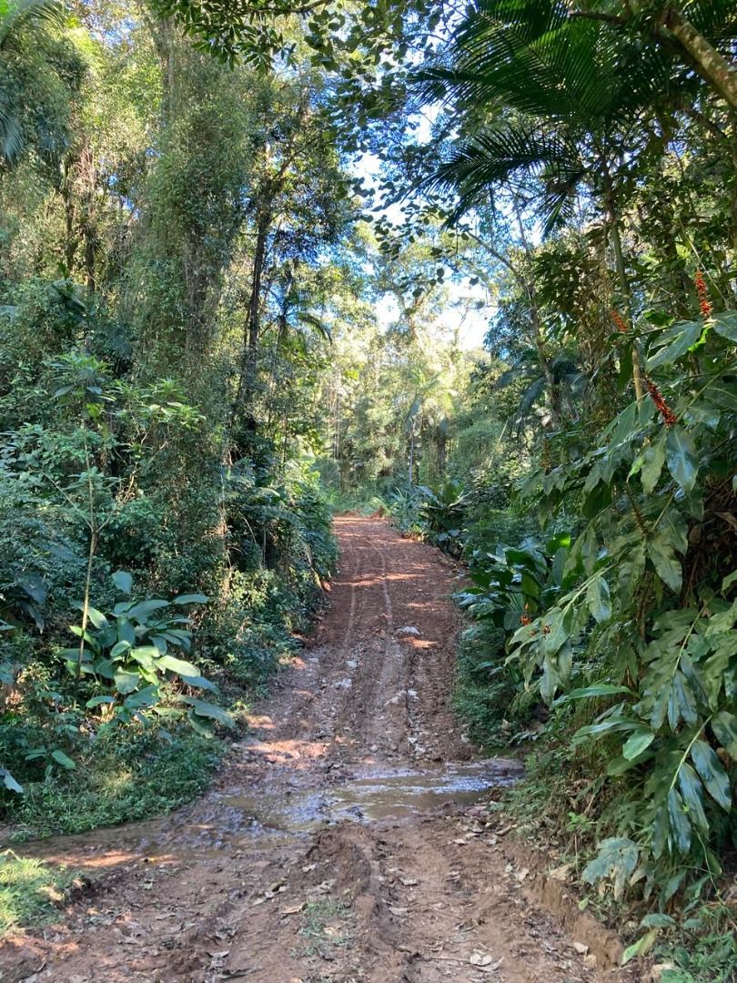 Chácara à venda com 3 quartos, 60.00m² - Pedra de Amolar,Corupá