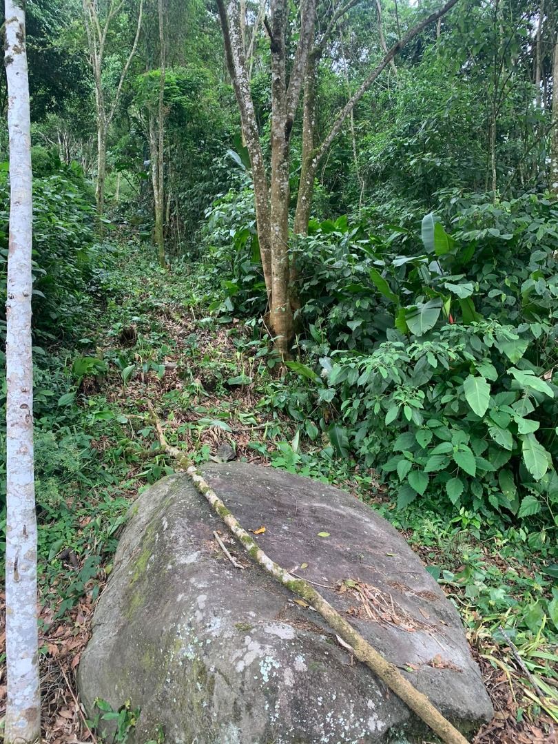  - Chácara à venda, 20000 m² por R$ 250.000,00 - Barra do Rio Molha - Jaraguá do Sul/SC