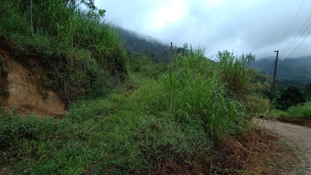 Chácara à venda - Rio da Luz,Jaraguá do Sul