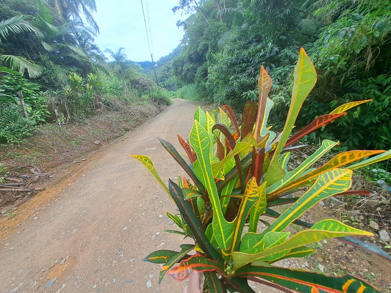 Chácara à venda com 3 quartos, 90.00m² - Rio da Luz,Jaraguá do Sul