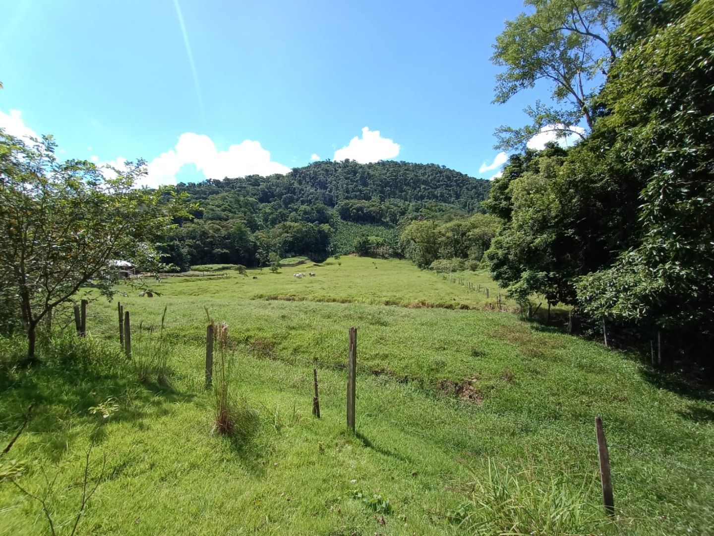 Chácara à venda com 2 quartos, 100.00m² - Garibaldi,Jaraguá do Sul