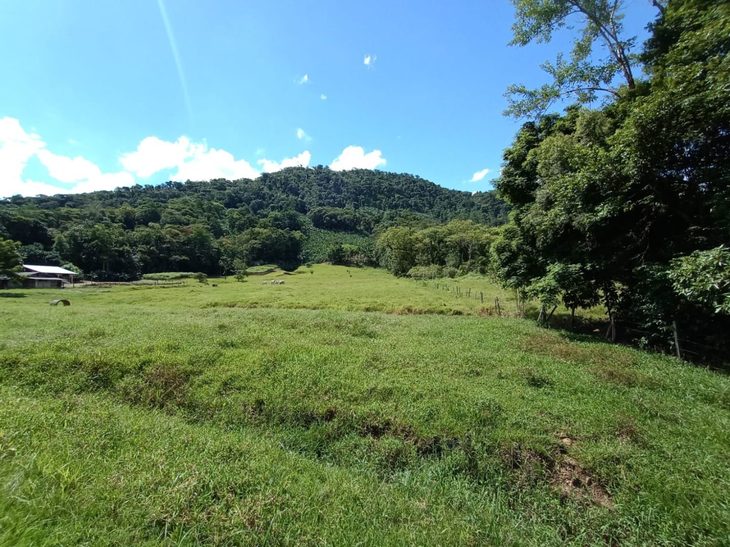 Chácara à venda com 2 quartos, 100.00m² - Garibaldi,Jaraguá do Sul