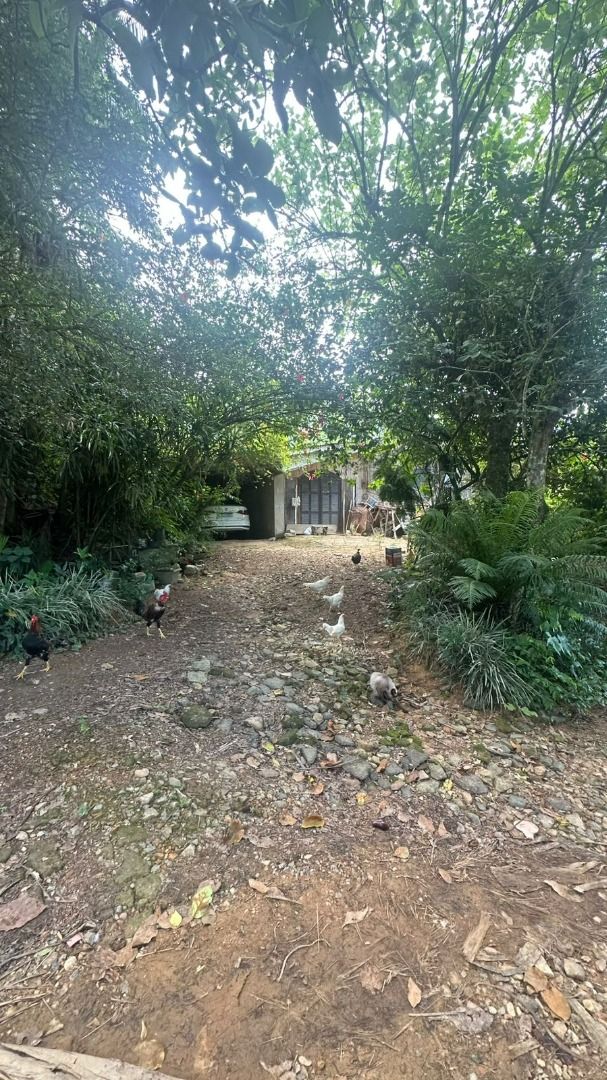  - Terreno com 3.243m², Jaraguá 84