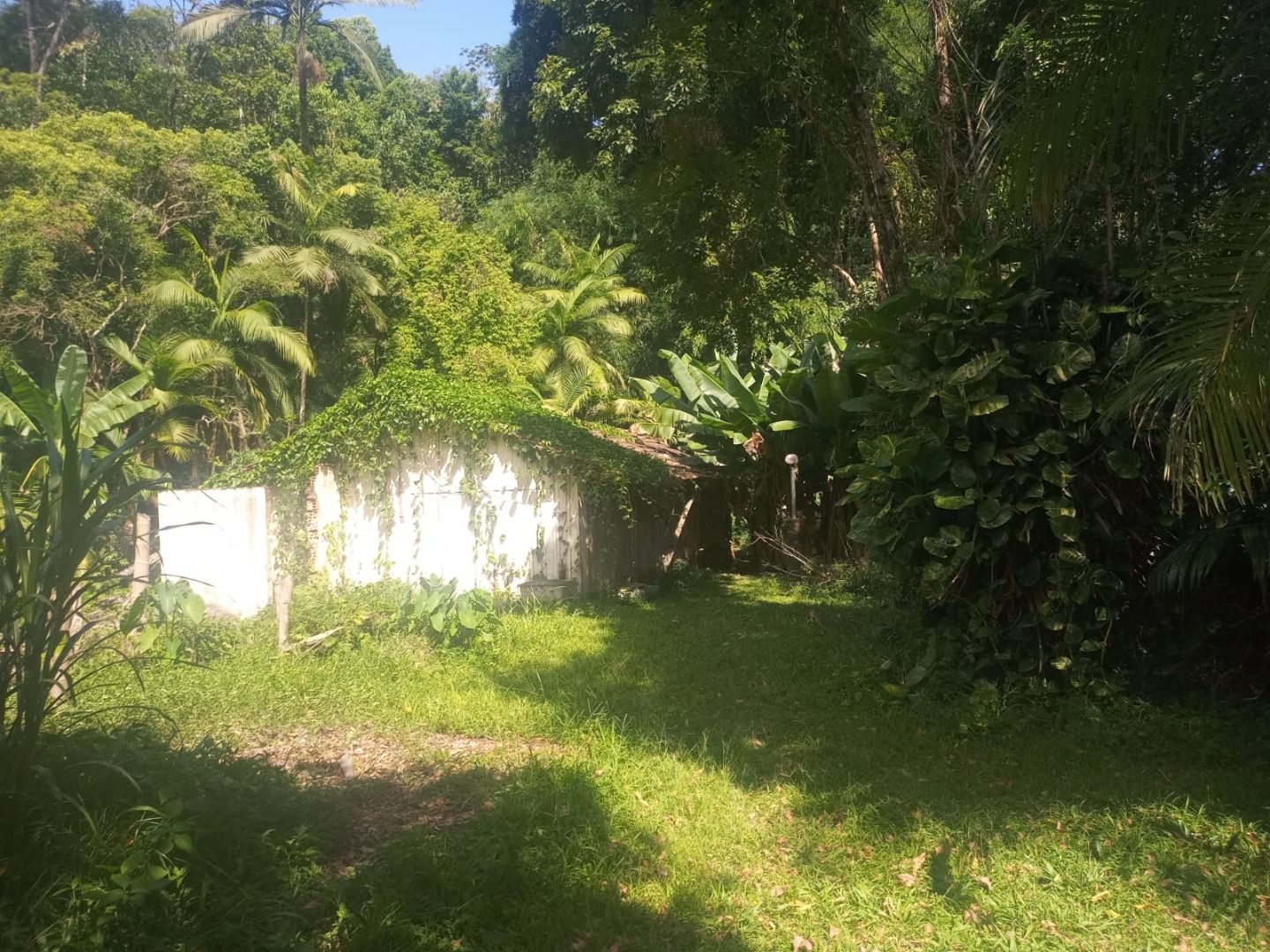  - Chácara à venda, 46000 m² por R$ 550.000,00 - Rio da Luz - Jaraguá do Sul/SC