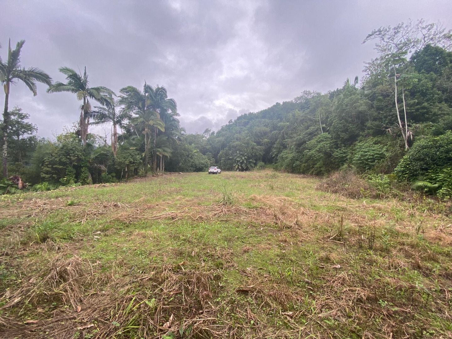 Terreno à venda - Rio Cerro I,Jaraguá do Sul