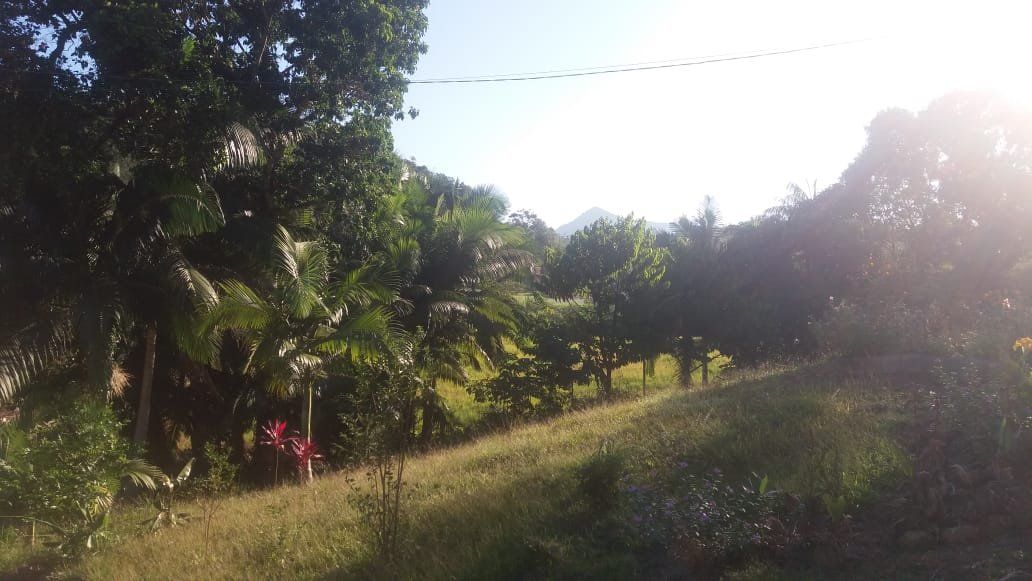 Chácara à venda com 2 quartos - Centro,Guaramirim