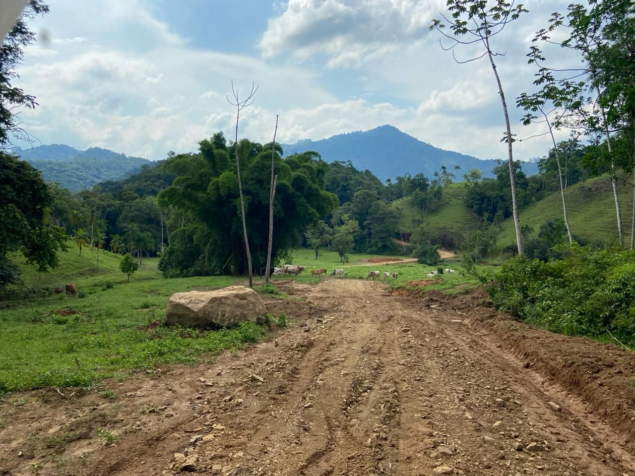 Chácara à venda, 20000.00m² - Garibaldi,Jaraguá do Sul