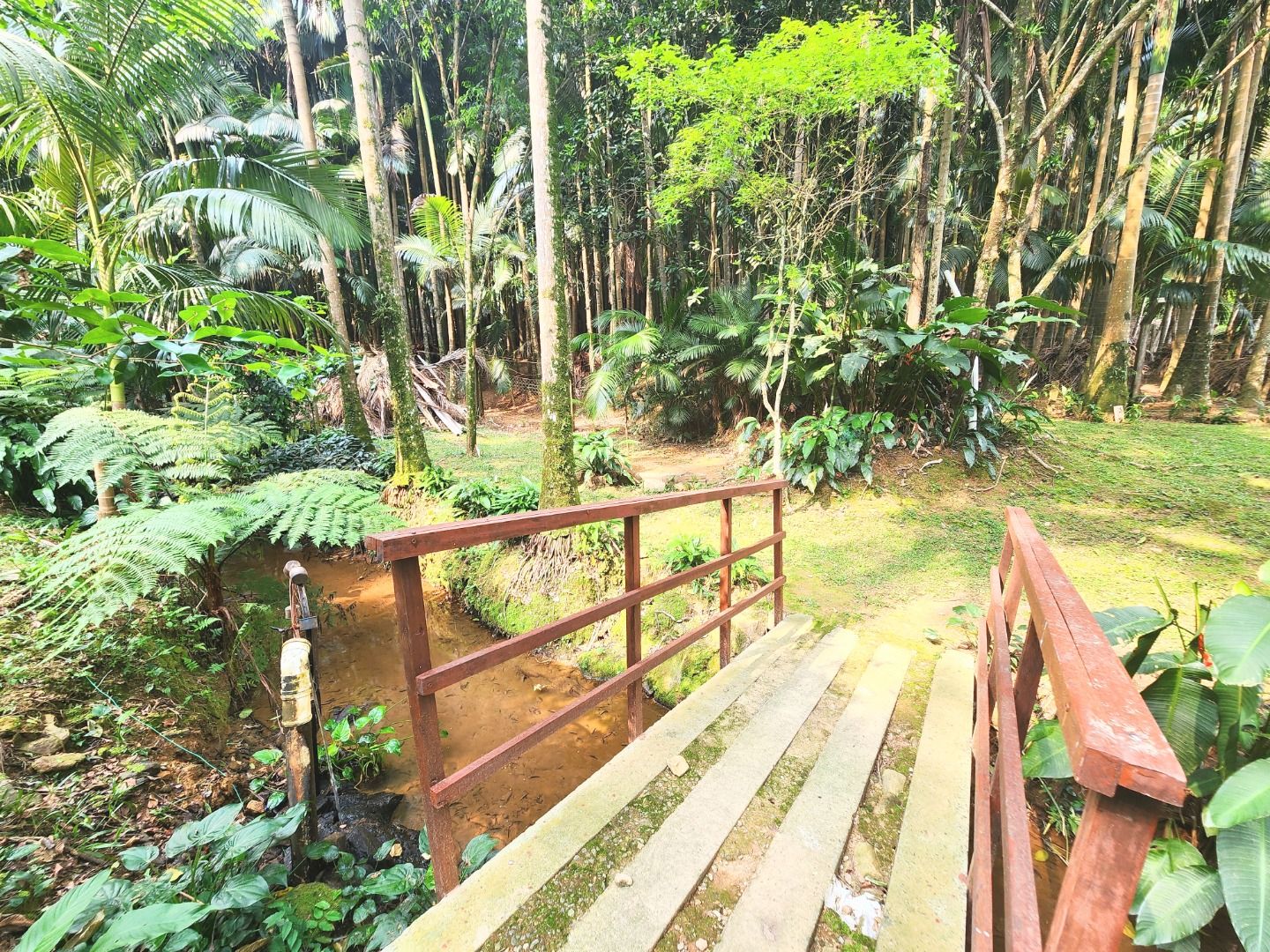 Casa à venda com 3 quartos, 230.00m² - Rio Hern,Schroeder