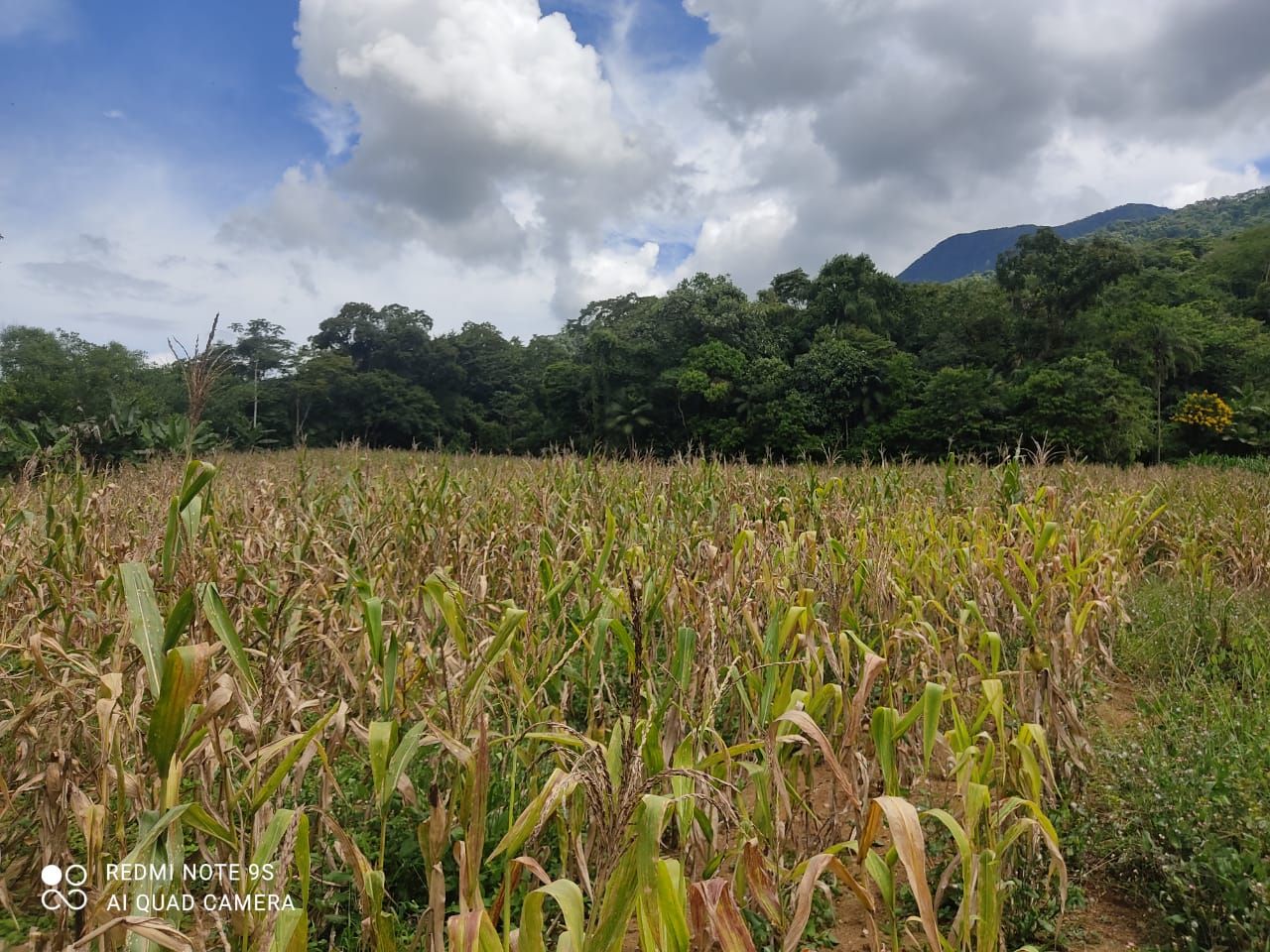 Terreno à venda - Santa Luzia,Jaraguá do Sul