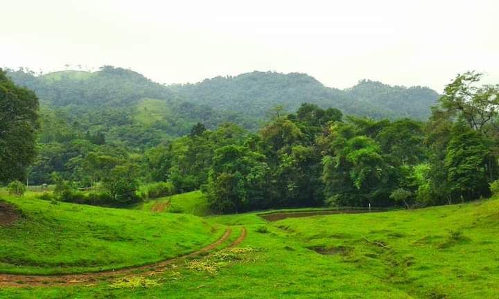 Chácara à venda com 8 quartos, 500.00m² - Jaraguá 84,Jaraguá do Sul