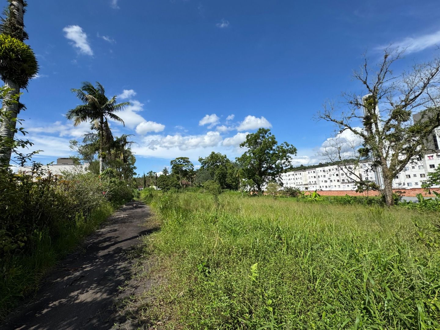  - Terreno para Investidor