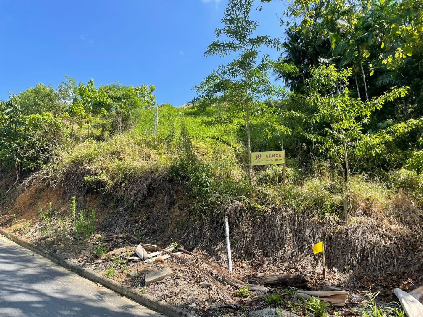 Terreno à venda - Chico de Paulo,Jaraguá do Sul