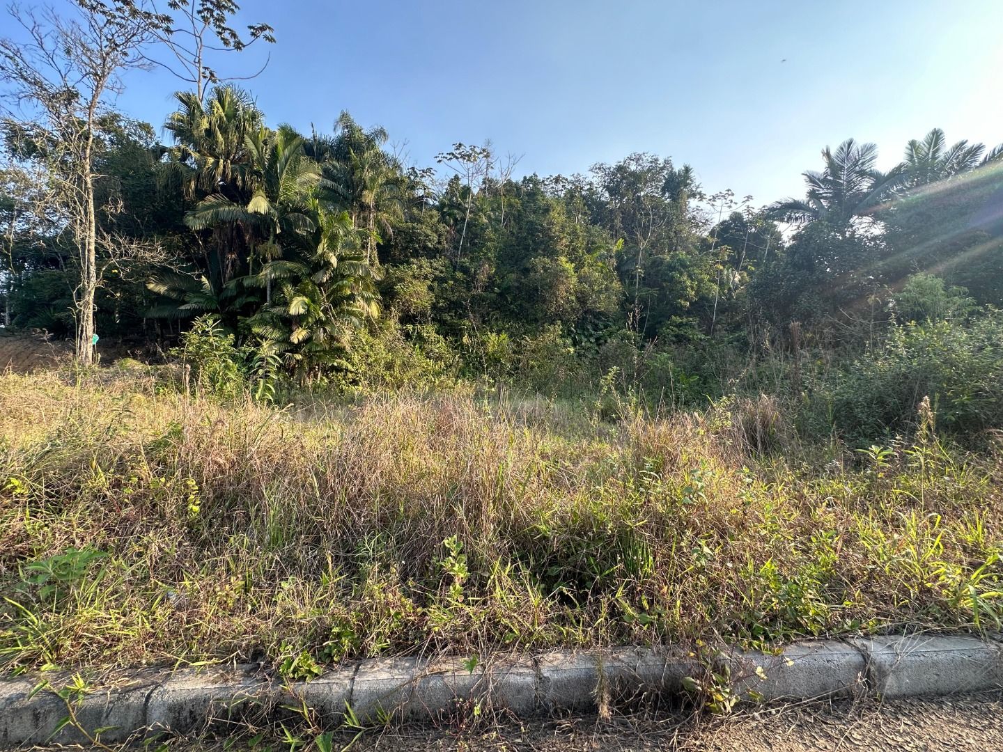 Terreno à venda - Rio da Luz,Jaraguá do Sul
