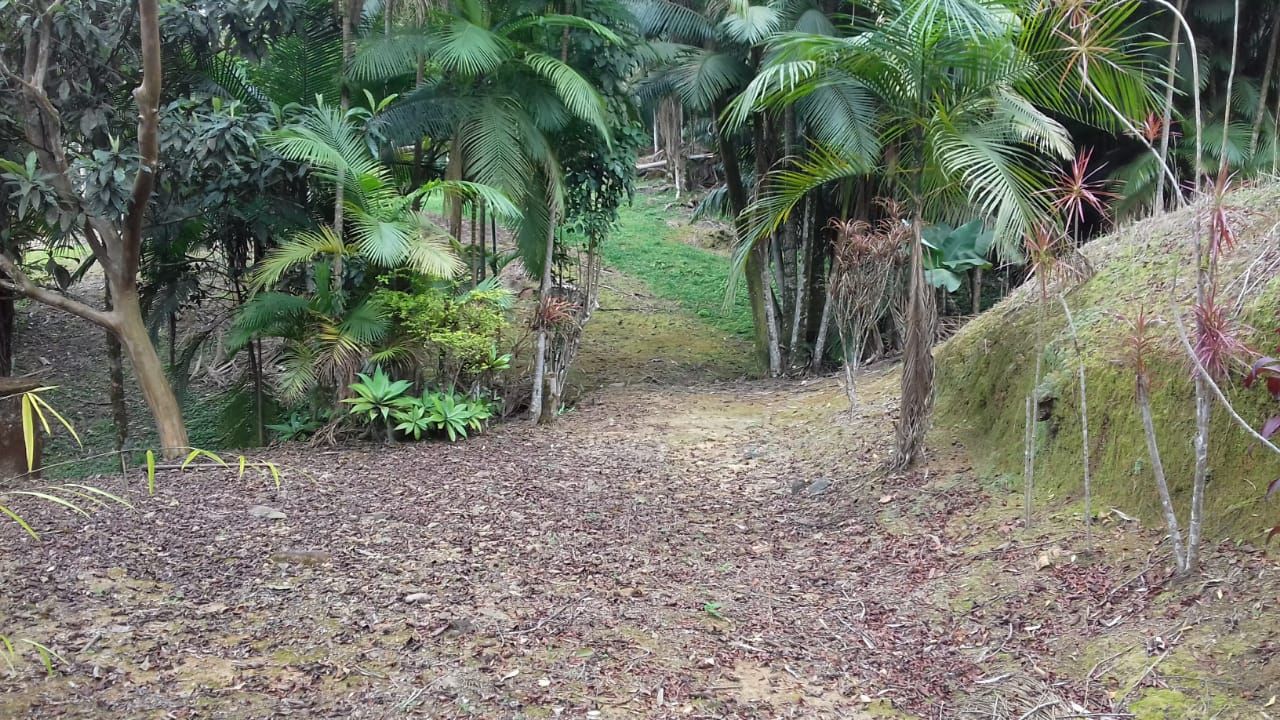  - Terreno à venda, 21136 m² por R$ 2.200.000,00 - Barra do Rio Cerro - Jaraguá do Sul/SC