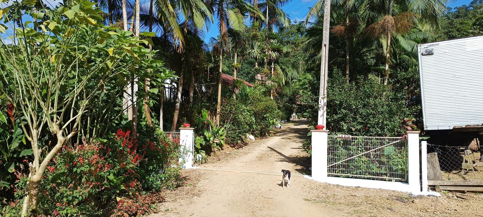 Chácara à venda com 2 quartos, 89m² - Garibaldi,Jaraguá do Sul