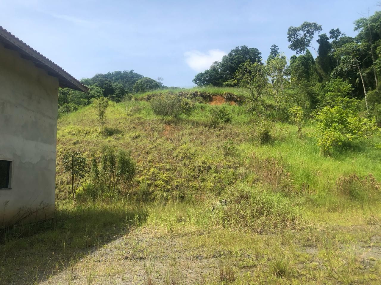 Chácara à venda com 2 quartos, 270.00m² - Garibaldi,Jaraguá do Sul