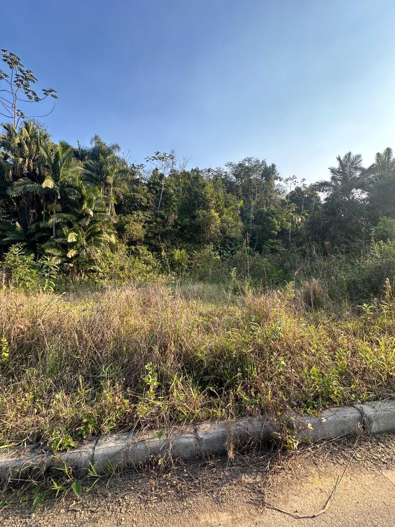 Terreno à venda - Rio da Luz,Jaraguá do Sul