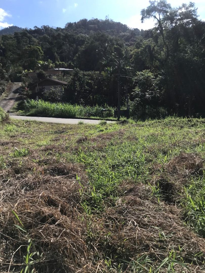  - Terreno à venda, 488 m² por R$ 230.000,00 - Rio da Luz - Jaraguá do Sul/SC