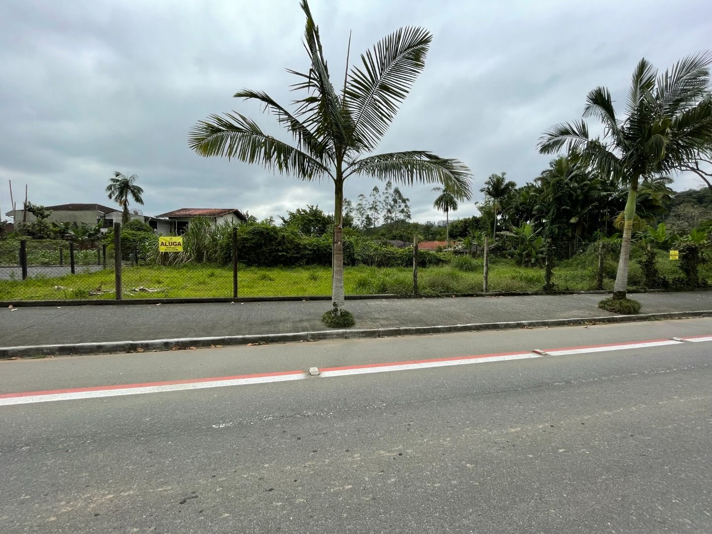 Terreno para alugar - Barra do Rio Cerro,Jaraguá do Sul