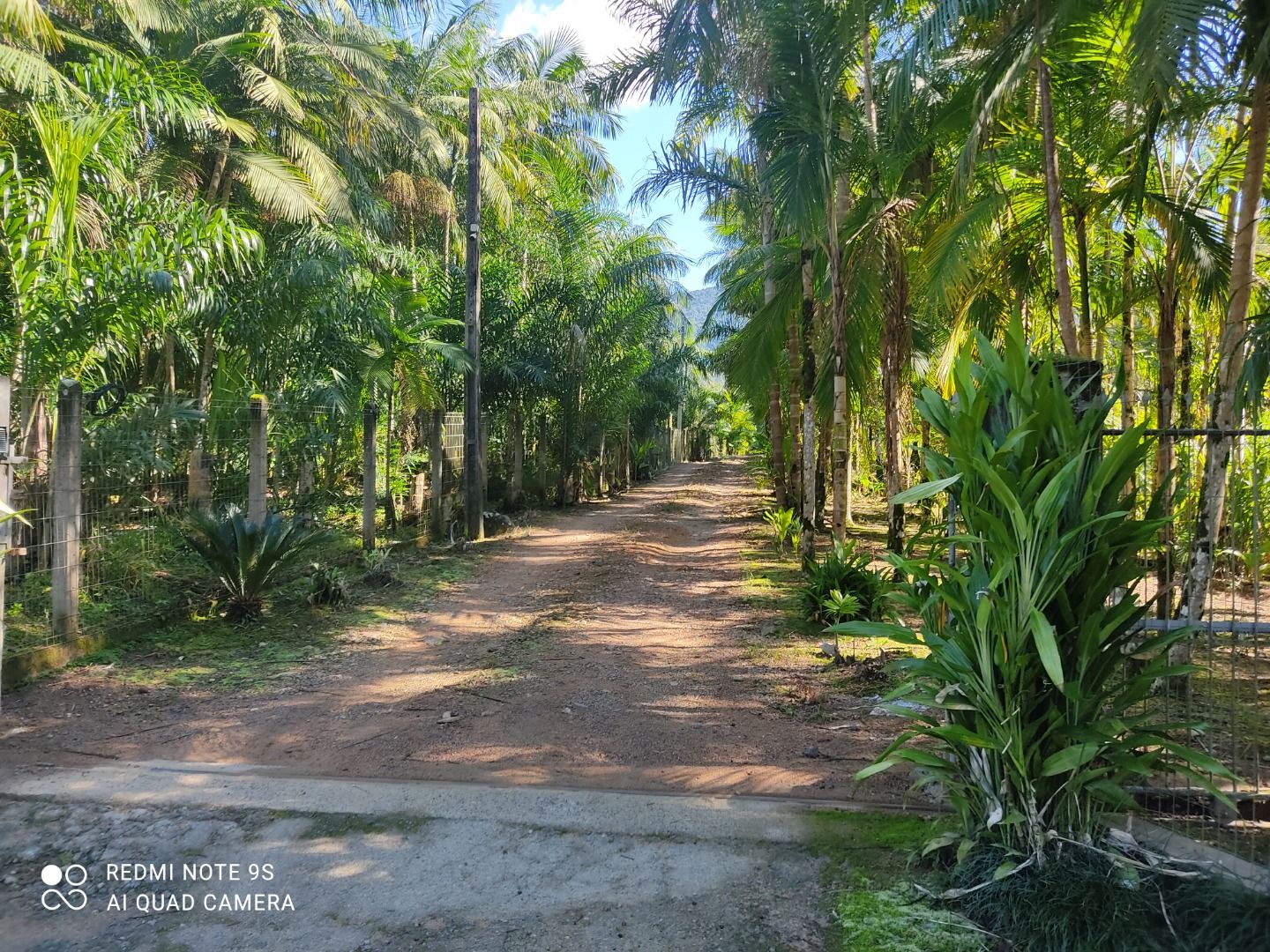 Chácara à venda com 2 quartos, 1432.00m² - Ribeirão Grande do Norte,Jaraguá do Sul