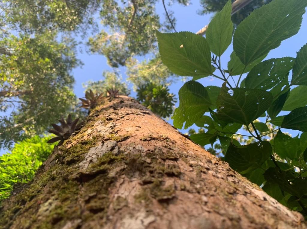 Chácara à venda com 3 quartos, 150.00m² - Rio Cerro I,Jaraguá do Sul