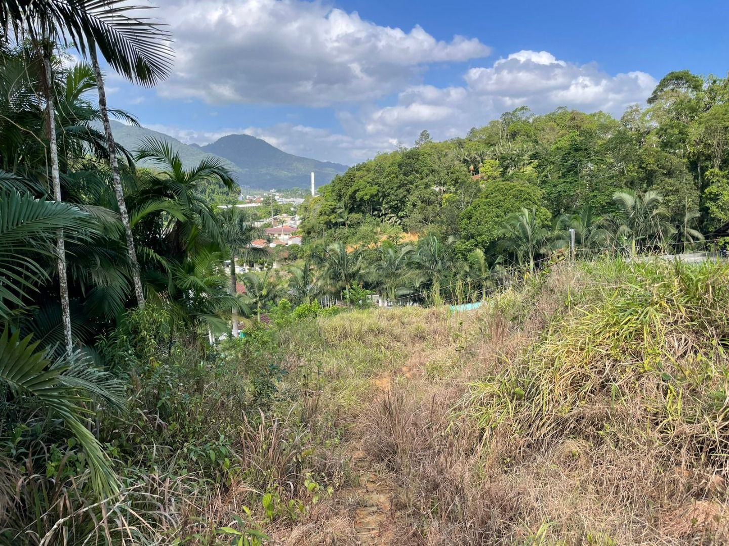 Terreno à venda - Chico de Paulo,Jaraguá do Sul