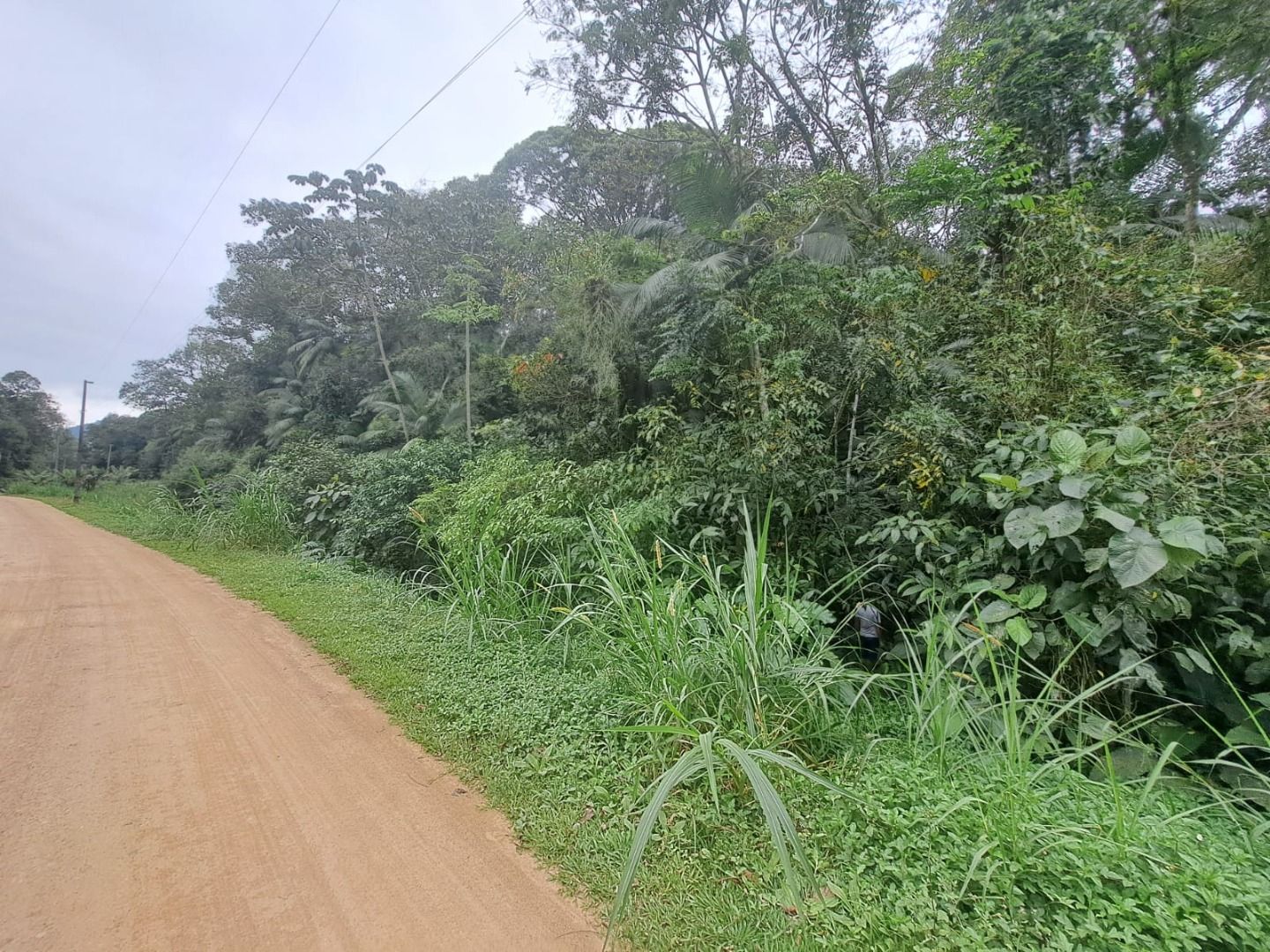  - Terreno à venda, 26.407 m² - Vila Chartres - Jaraguá do Sul/SC