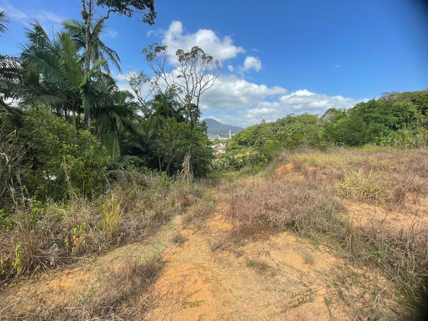 - Terreno à venda, 2167 m² por R$ 1.000.000,00 - Chico de Paulo - Jaraguá do Sul/SC