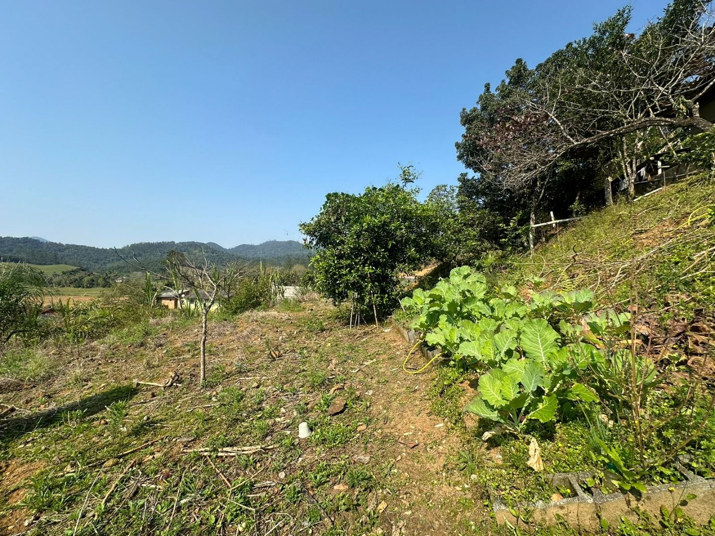 Terreno à venda - Rio da Luz,Jaraguá do Sul