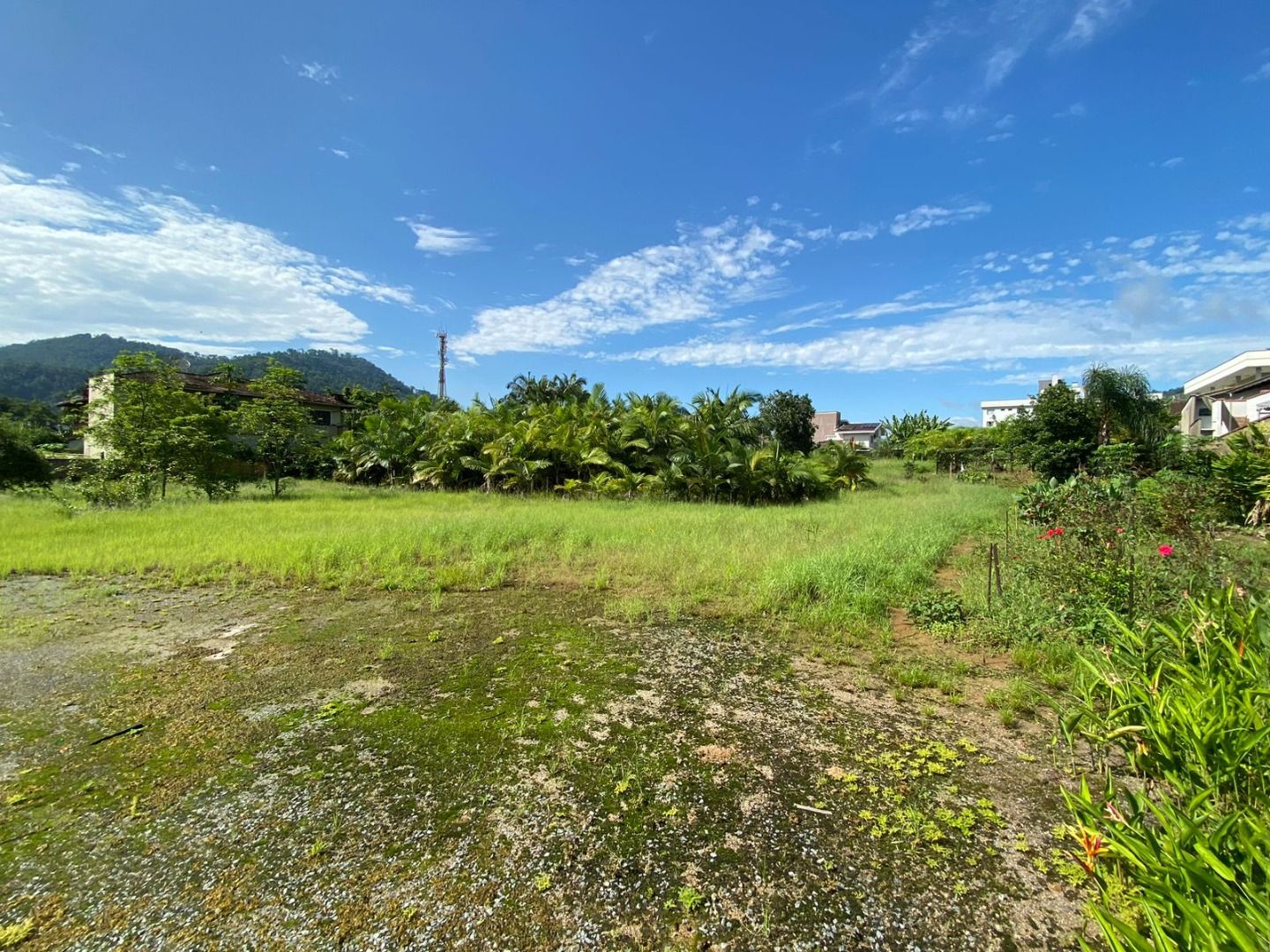 Terreno à venda - Barra do Rio Cerro,Jaraguá do Sul