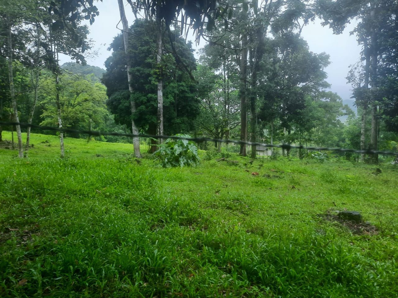 - Área Rural à venda – Divisa dos Bairros Garibaldi e Rio da Luz – Jaraguá do Sul/SC