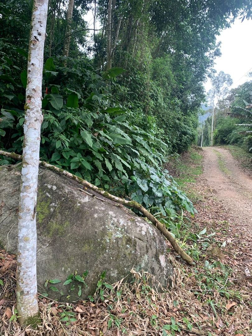  - Chácara à venda, 20000 m² por R$ 250.000,00 - Barra do Rio Molha - Jaraguá do Sul/SC